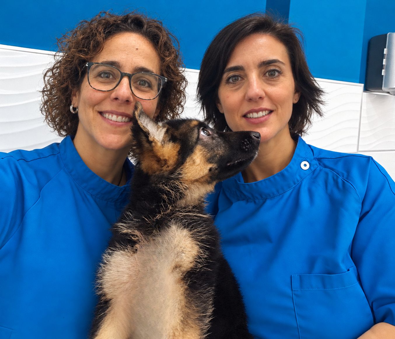 veterinaria-san-jose-pacientes